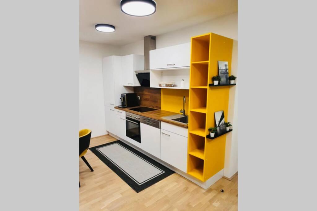 Leon Apartment Neu! Gemuetlichkeit An Erster Stelle Linz Esterno foto